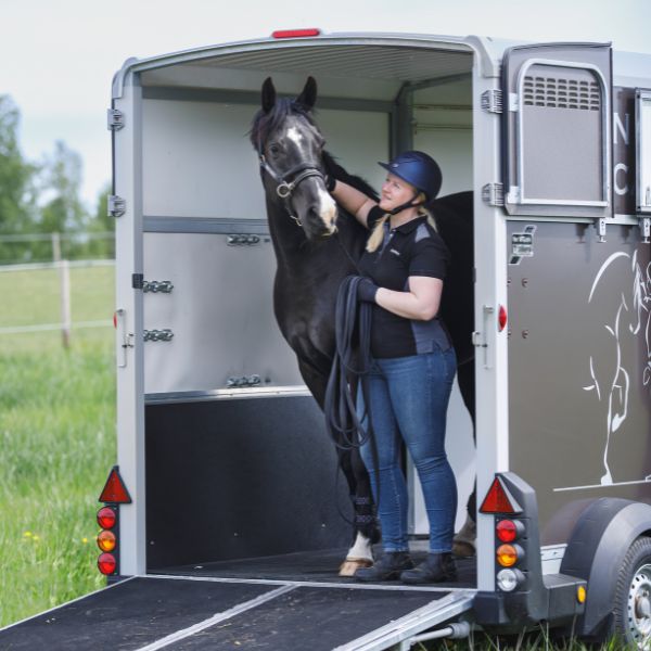 ifor-williams-falsterbo-horse-show-lastraning